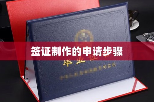 南明签证制作的申请步骤