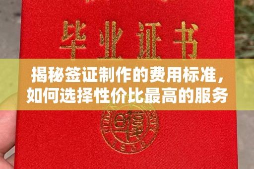 南明揭秘签证制作的费用标准，如何选择性价比最高的服务？