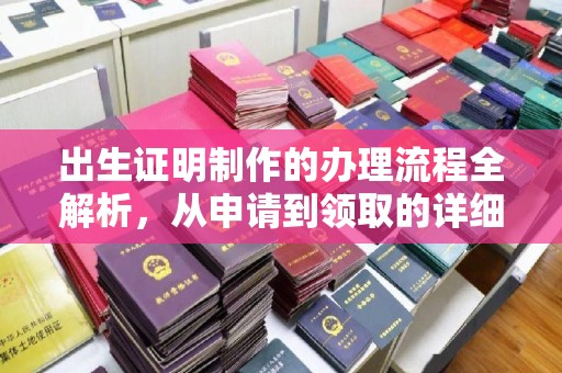 南明出生证明制作的办理流程全解析，从申请到领取的详细指南