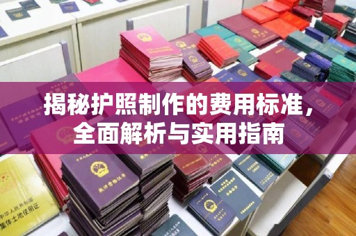 南明揭秘护照制作的费用标准，全面解析与实用指南